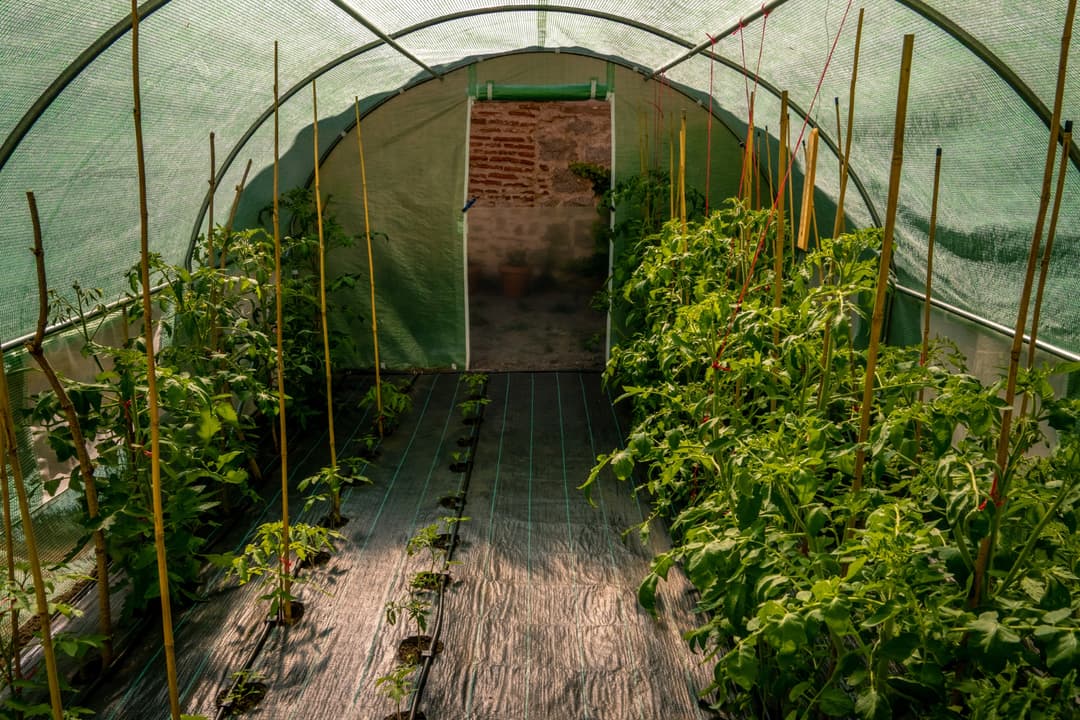 Agriculture