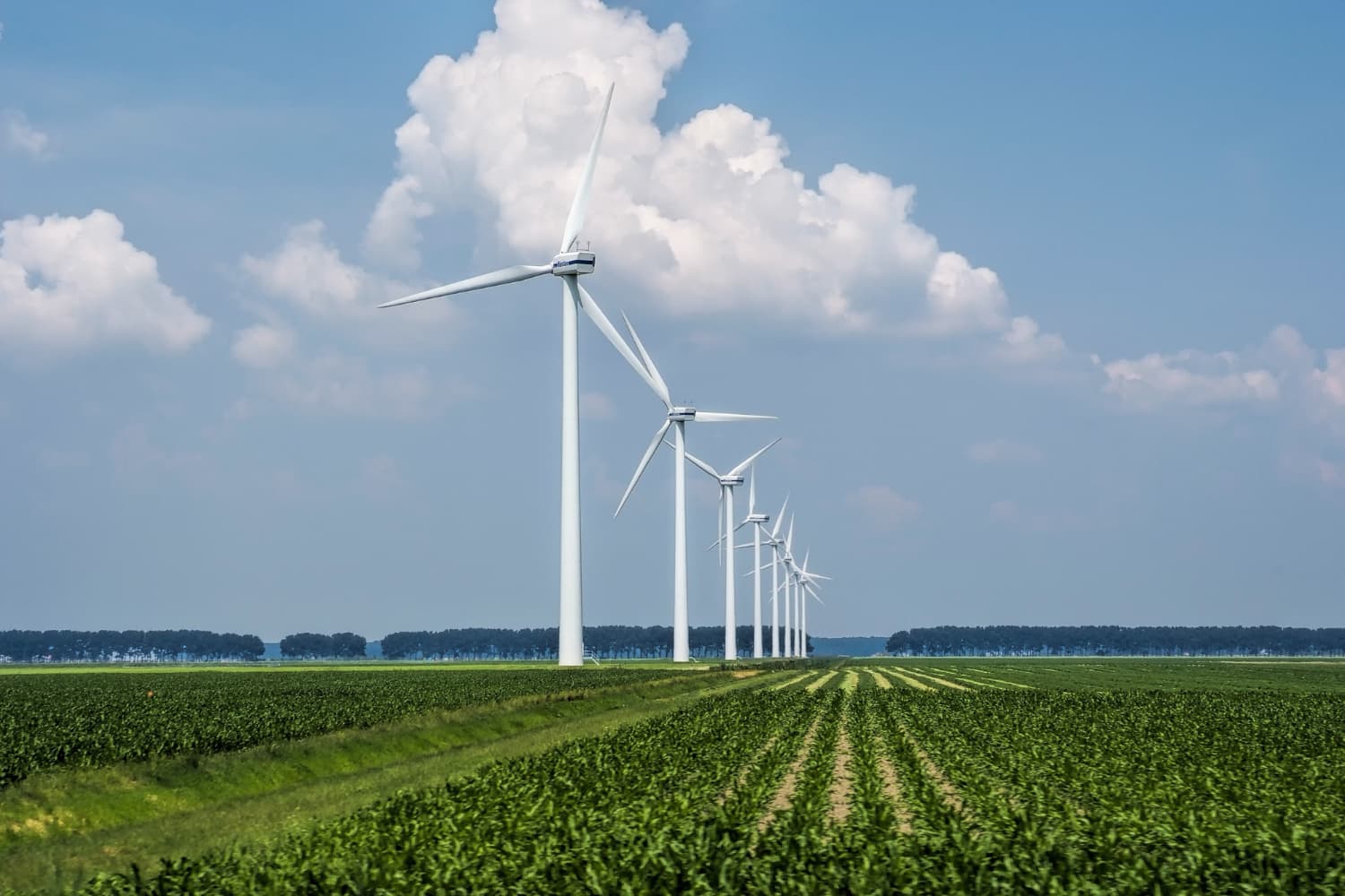 Sustainable Textile Manufacturing